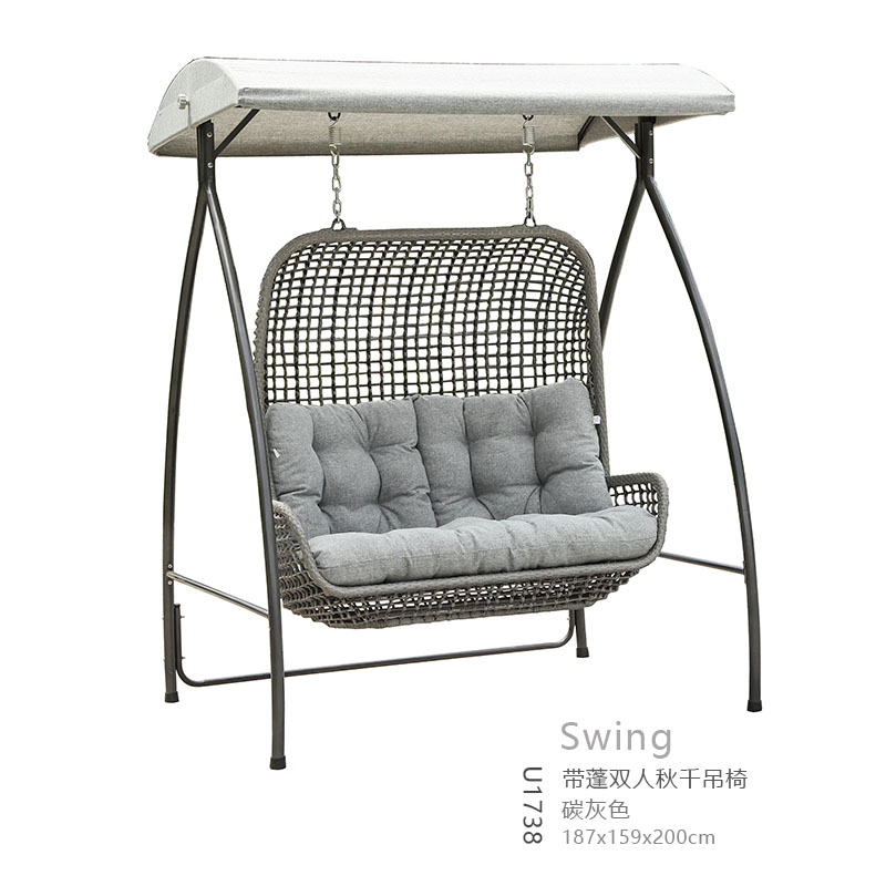BL1738-double swing with canopy